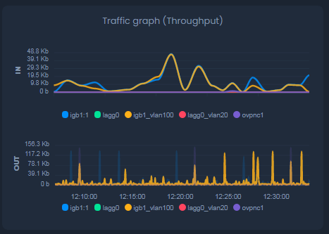 Filtering an Interface (igb1_vlan100 interface filtered on OUT)