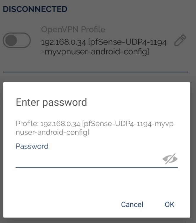 Entering VPN password