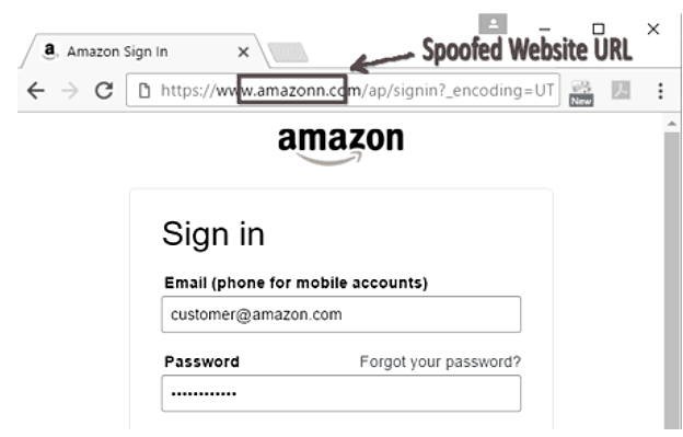 Website spoofing attack