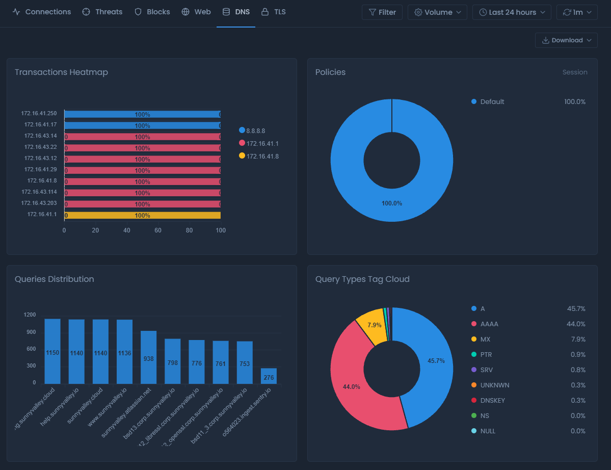 DNS Report View on Cloud Portal