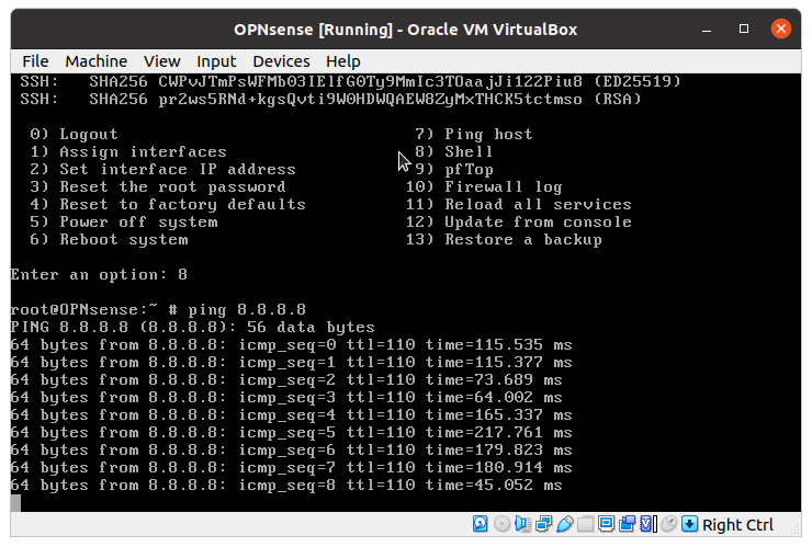 Check internet connection of OPNsense