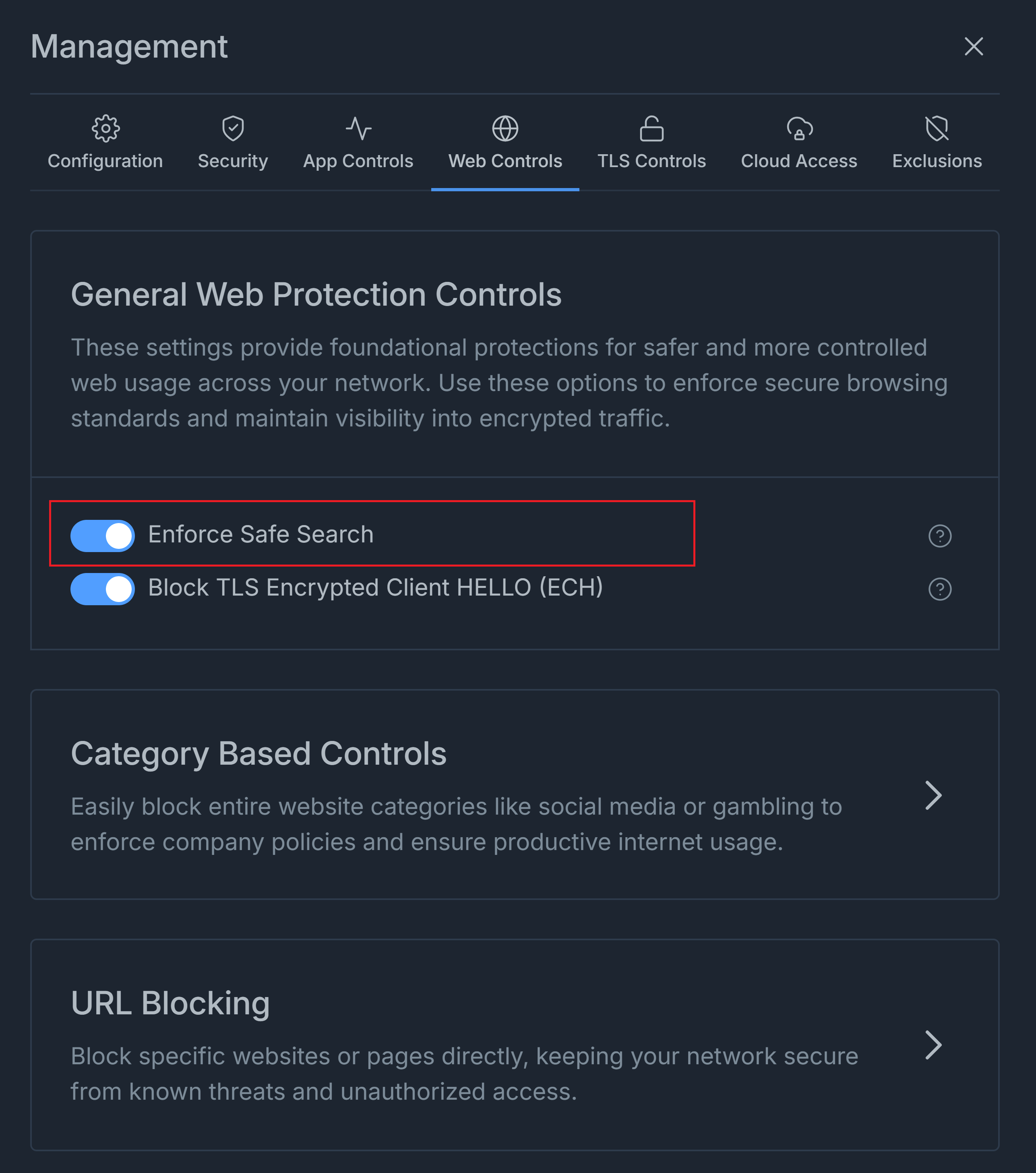 Enforcing Safe Search
