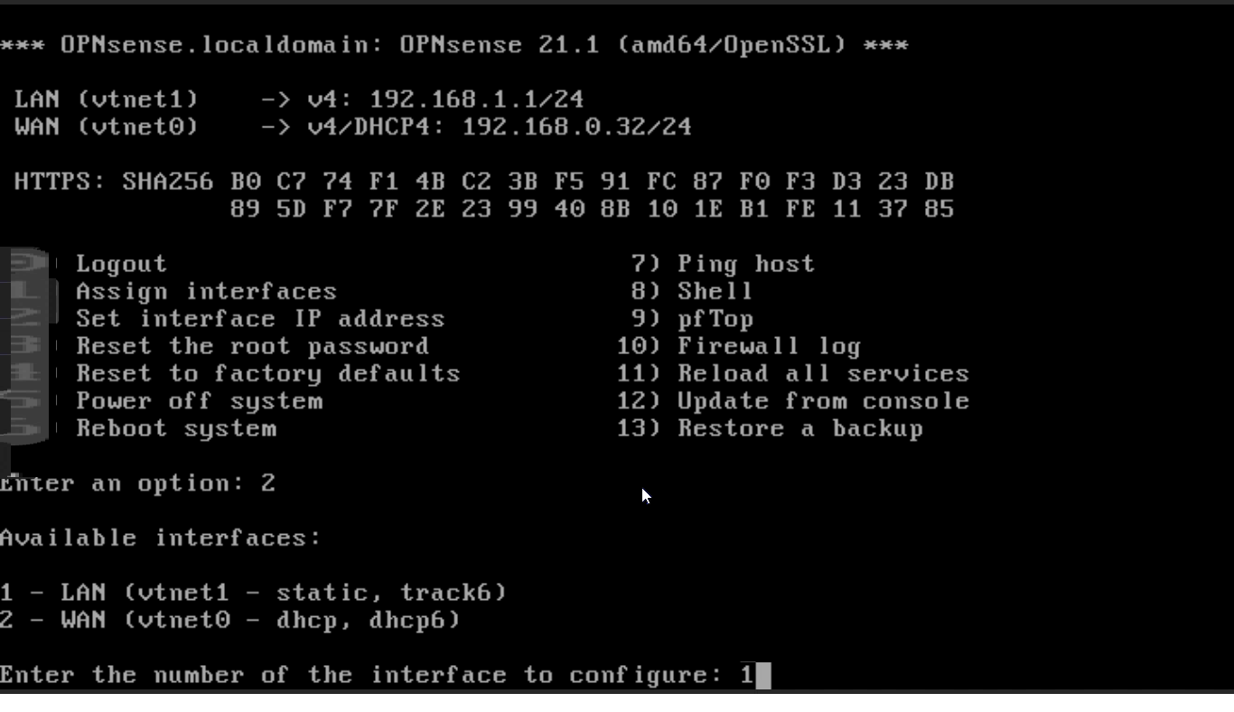 Selecting LAN interface to configure on OPNsense CLI