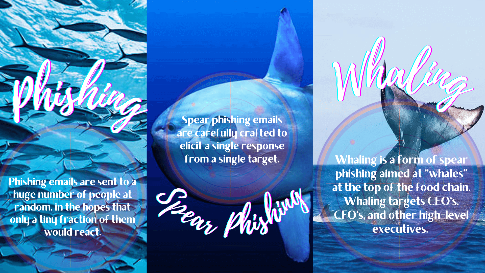 Phishing and Whaling Diffrence