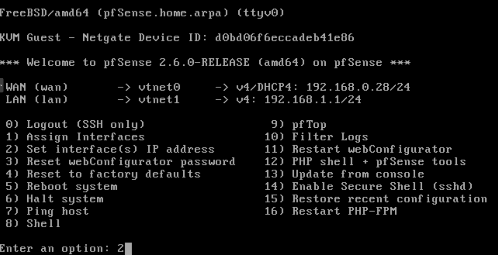 Setting IP address for network interface of pfSense on CLI