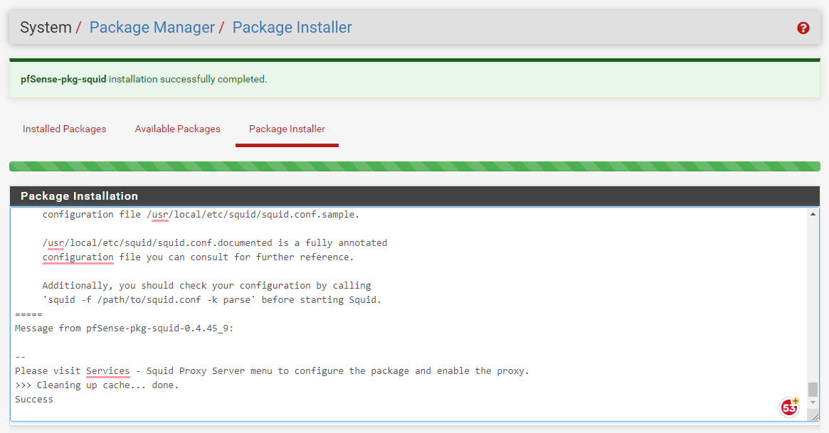 Squid package installation completed successfully