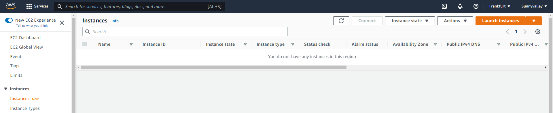 Neue Instanz auf AWS starten