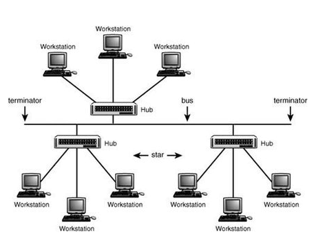 Bus-Baum-Topologie