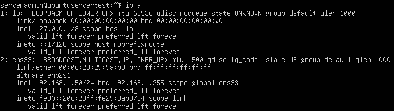 ip a output