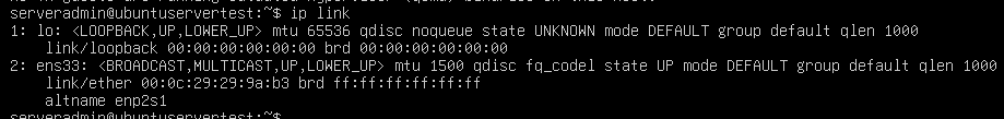 ip link output