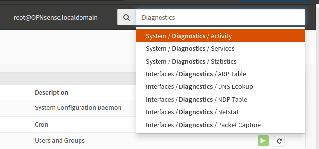OPNsense diagnostic via search box