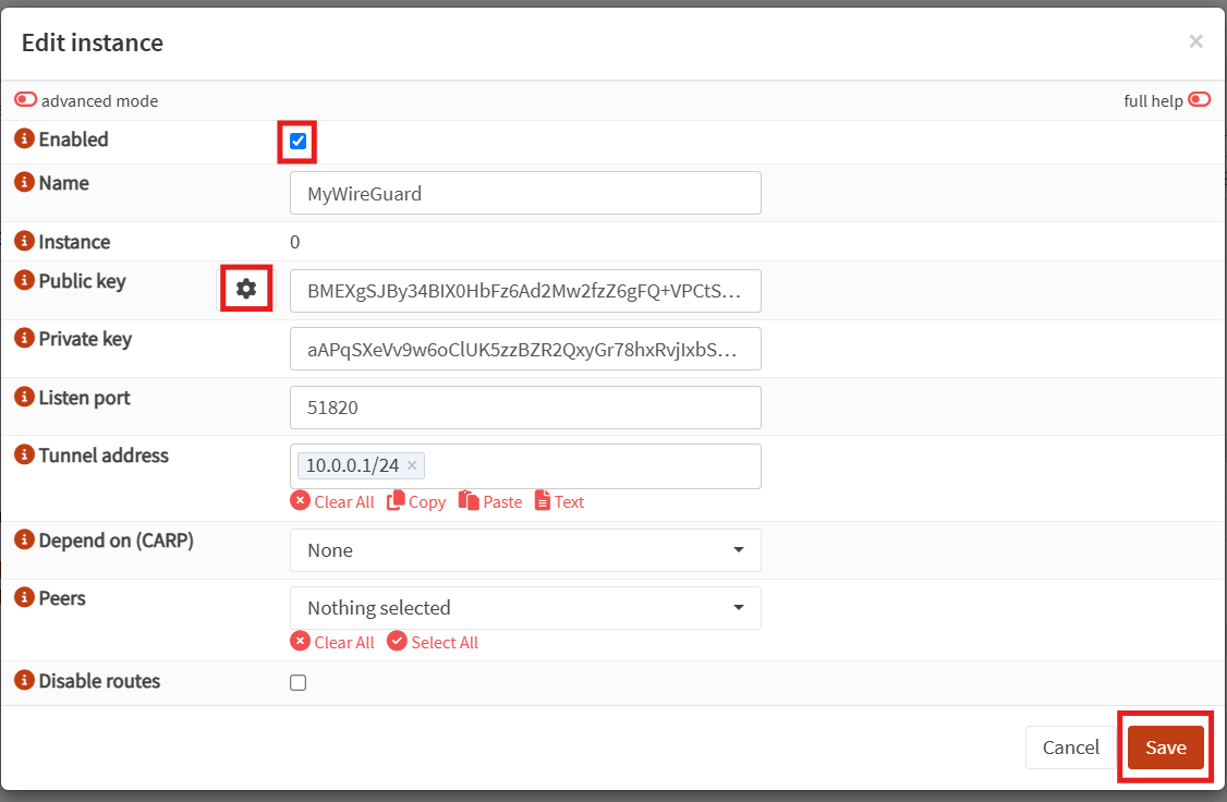 filling out the edit instance form in wireguard