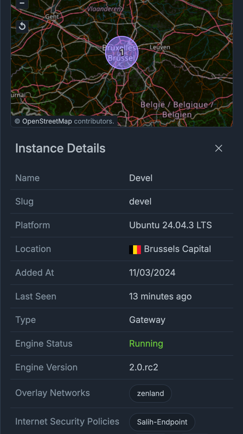 Instance Details