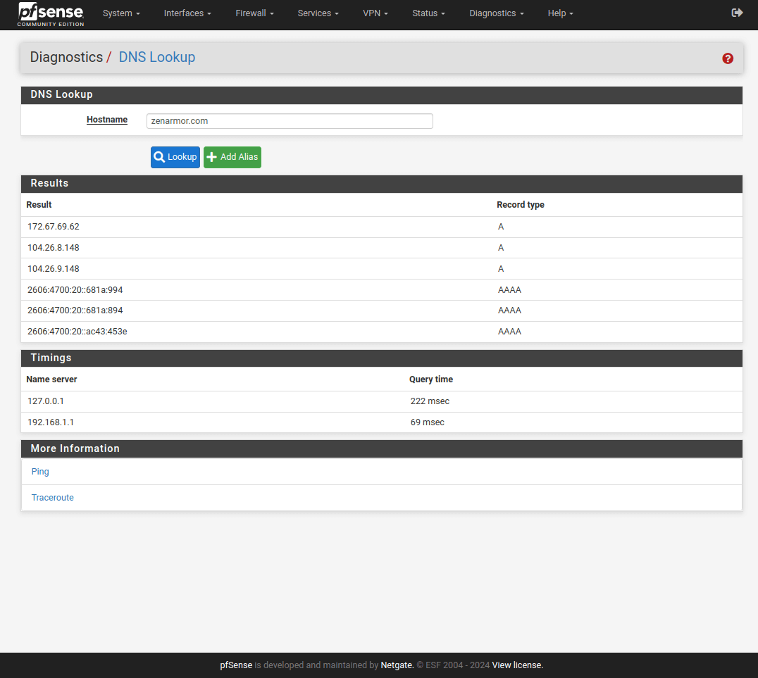 pfSense Diagnostics DNS Lookup Test