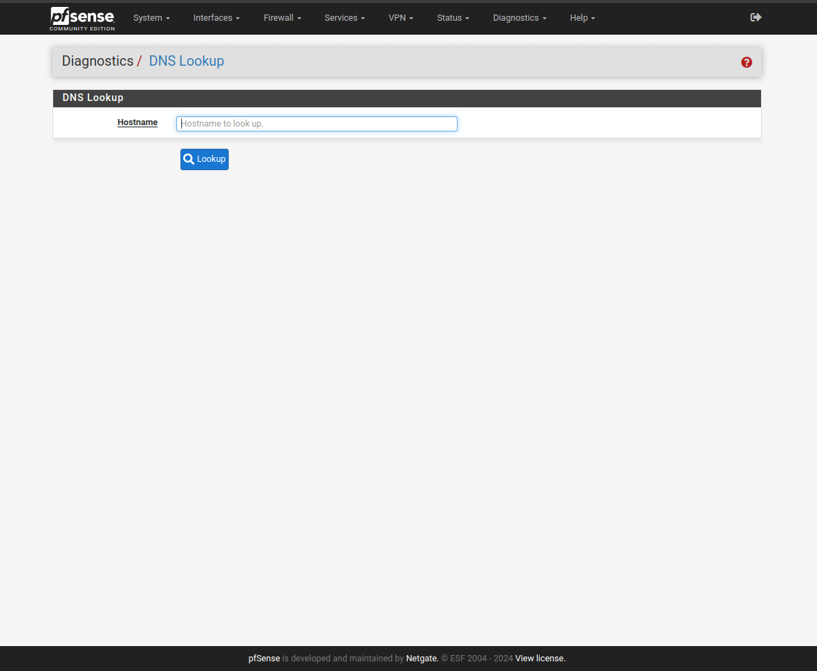 pfSense Diagnostics Lookup