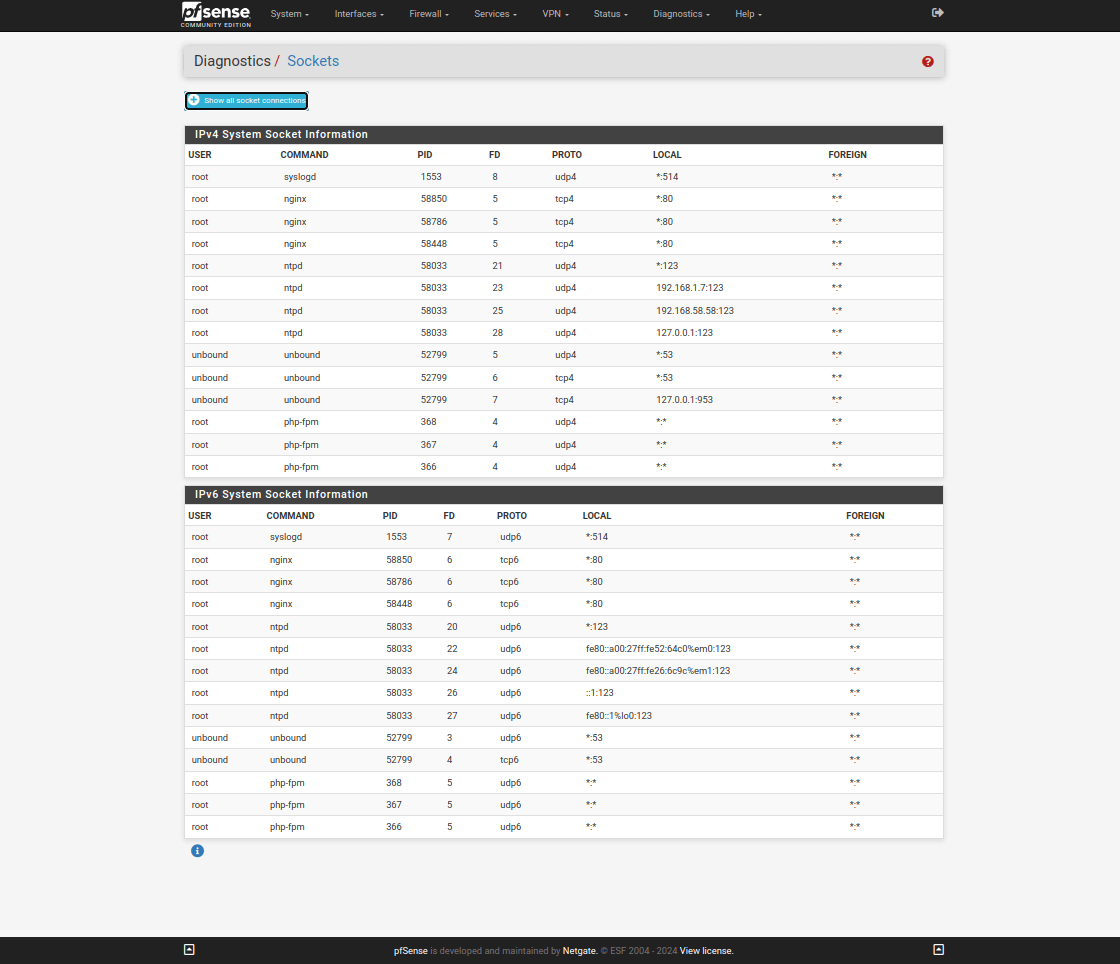 pfSense Diagnostics Sockets