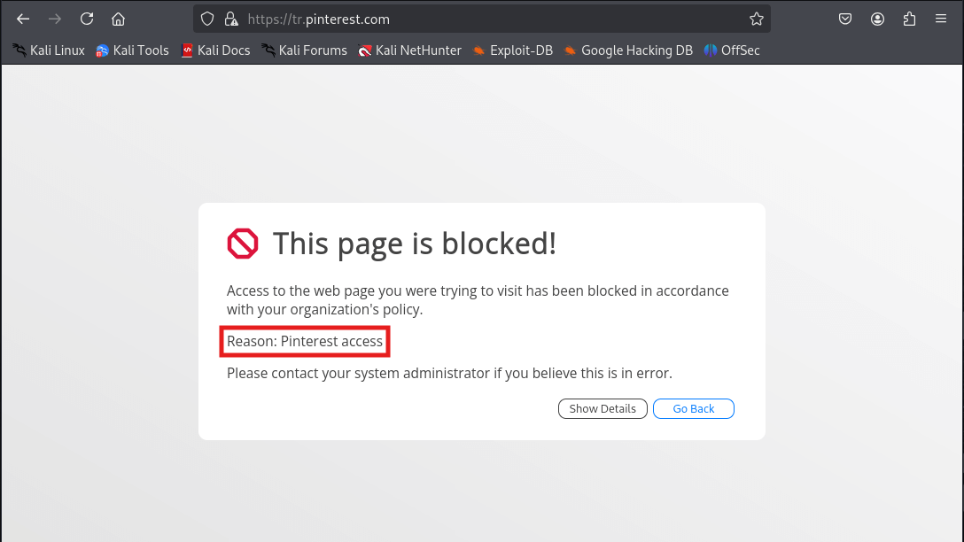 Pinterest  Access Blocked