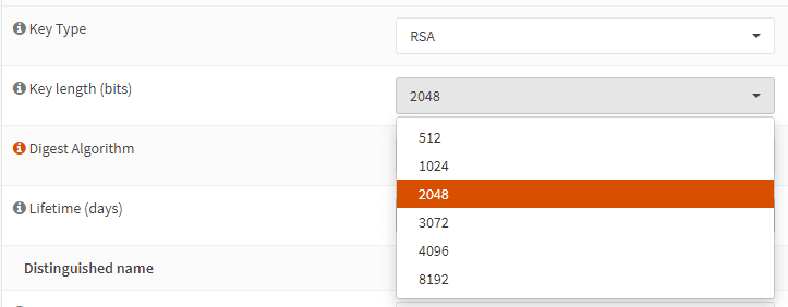 RSA key