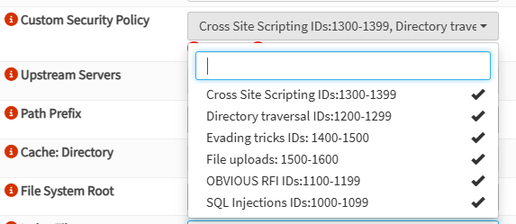 Selecting Custom Security Policies
