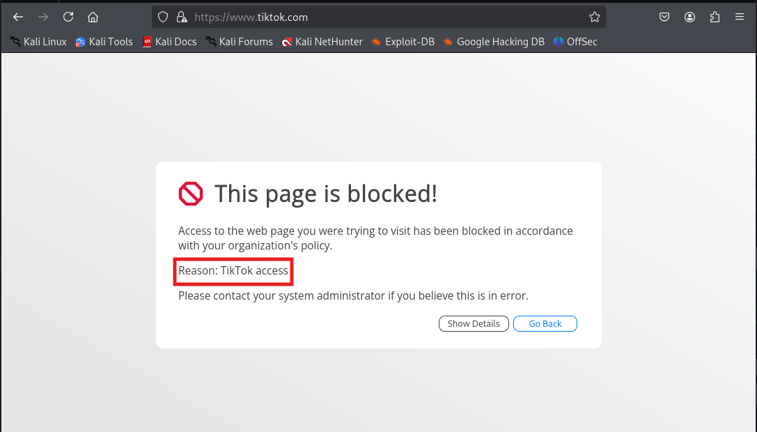 TikTok  Access Blocked