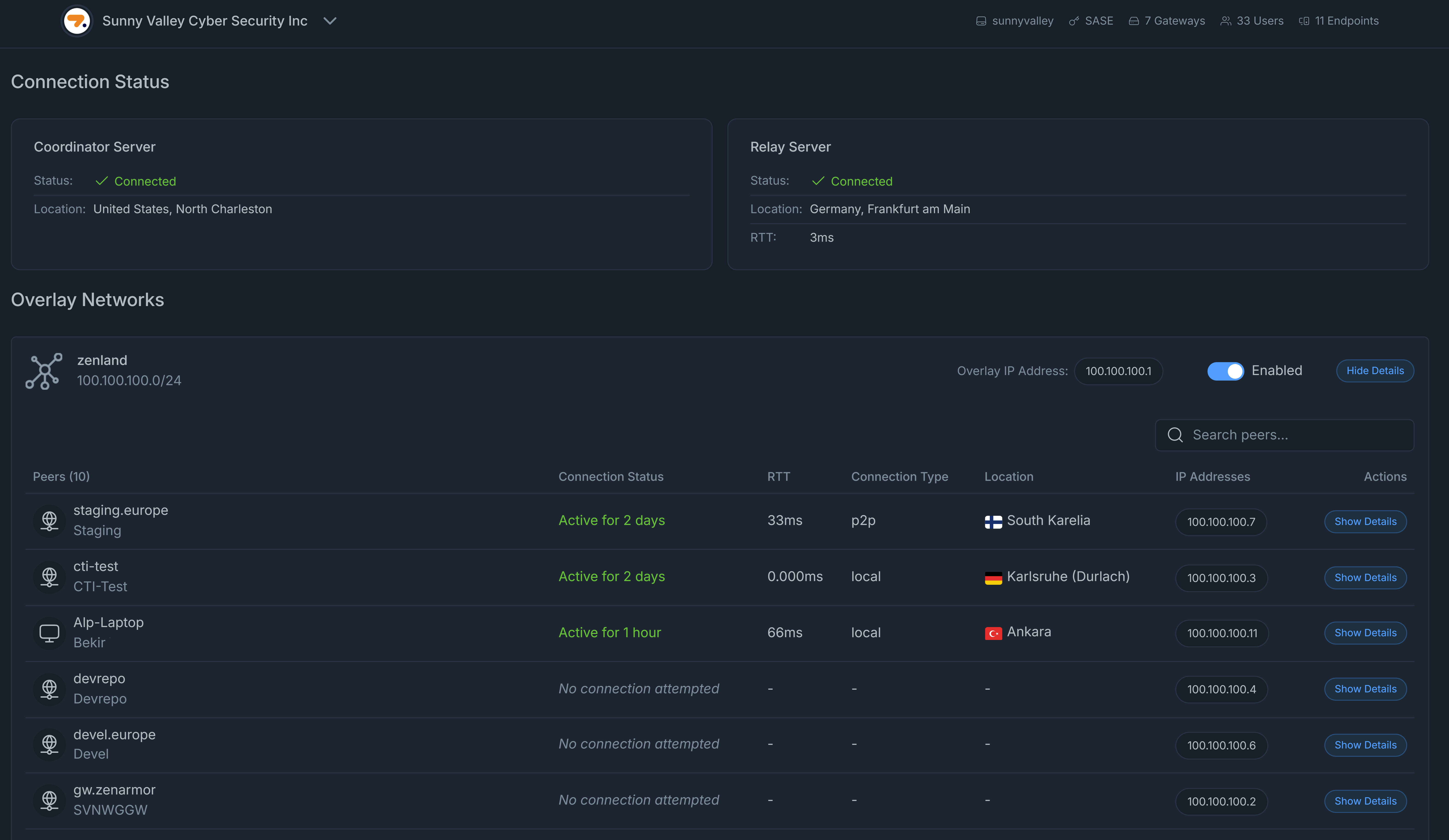Viewing Overlay Network Details