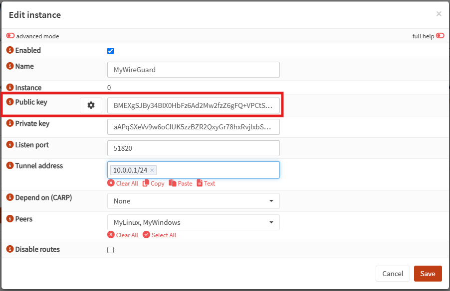 viewing and copying the server's public key