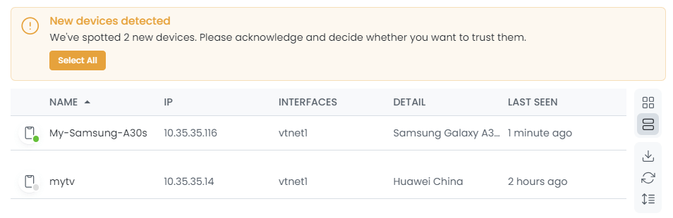 Viewing Newly Detected Devices List